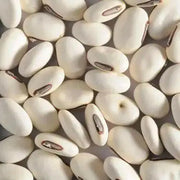 Japanese Sword Bean Seeds ,White, Canavalia gladiata- organic, Heirloom Asian Vegetable ! - Caribbean garden seed