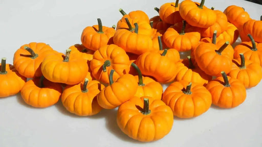 Jill-Be-Little Pumpkin Seed- WINTER SQUASH SEED - Caribbean garden seed