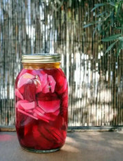 Japanese Red Turnip Seeds, Red Round , Brassica rapa var rapifera. Asian Vegetable - Caribbean garden seed