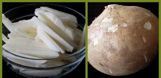 Jicama Seeds, mexican yam, Asian Vegetables VINE - Caribbean garden seed
