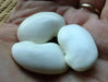 Japanese White Flowering Pole Bean,Shirohana-mame,Asian Vegetable - Caribbean garden seed