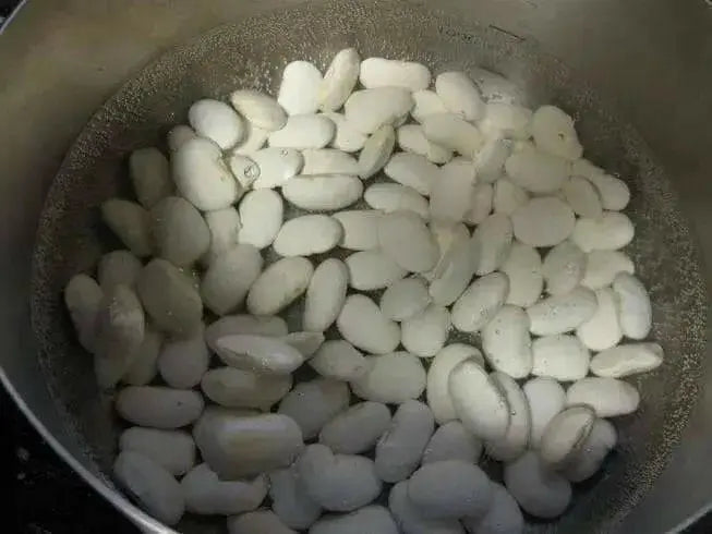 Japanese White Flowering Pole Bean,Shirohana-mame,Asian Vegetable - Caribbean garden seed