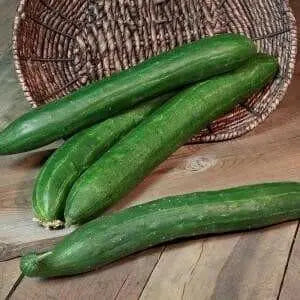 Japanese Long Cucumber  Seeds " Tokiwa" Asian Vegetable - Caribbean garden seed