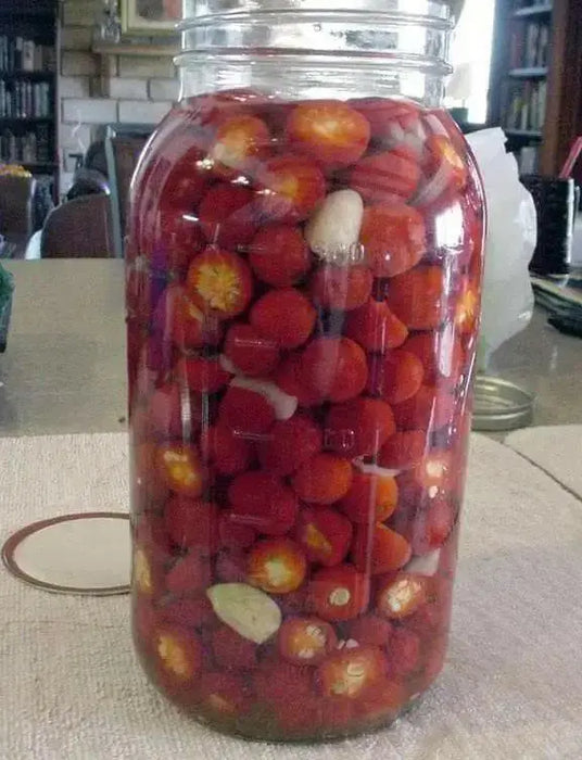 JOE'S ROUND" HOT PEPPER~Seed (Capsicum annuum) - Caribbean garden seed