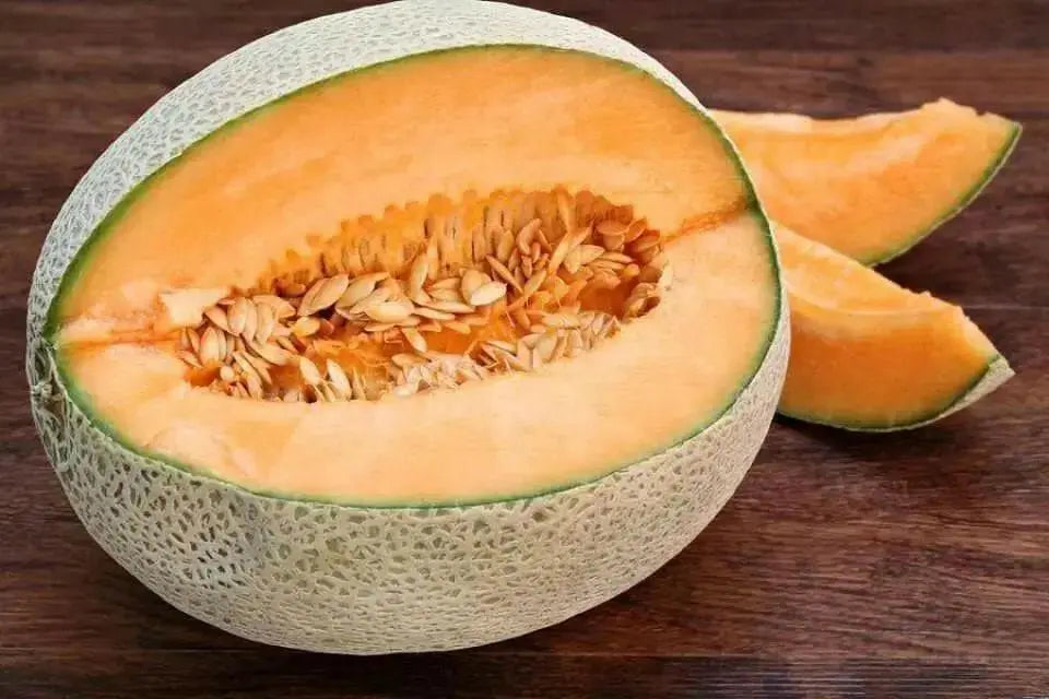Jumbo Melon Seeds - cantaloupe melons - Caribbean garden seed