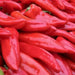 KALOCSA  Hungarian Spice Paprika , Pepper SEEDS, (Capsicum annuum) - Caribbean garden seed
