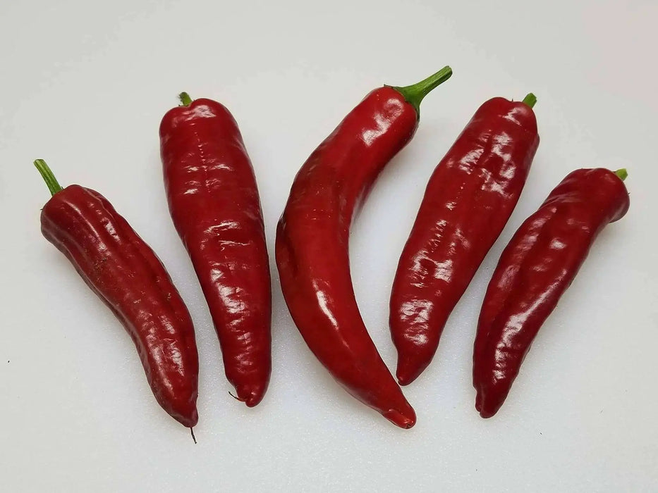 KALOCSA  Hungarian Spice Paprika , Pepper SEEDS, (Capsicum annuum) - Caribbean garden seed
