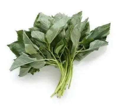 JUTE GREENS,summer Spinach  (Live Plants )  Asian Vegetable, - Caribbean garden seed