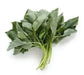 JUTE GREENS,summer Spinach  (Live Plants )  Asian Vegetable, - Caribbean garden seed