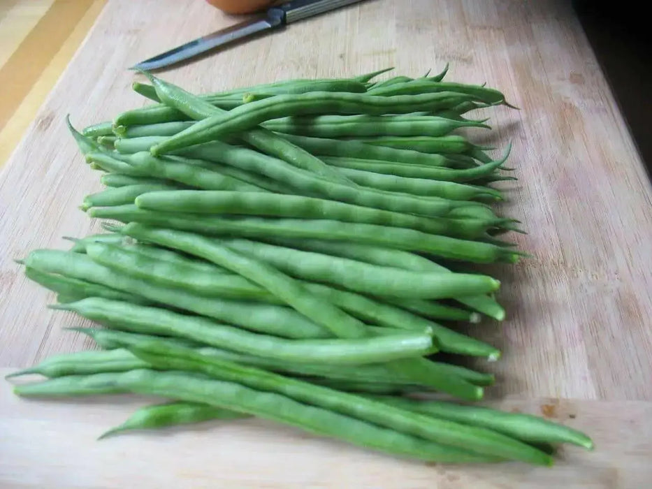 Kentucky Blue Pole Bean Seeds - Caribbean garden seed