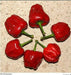 Kitchen Pepper Seeds - Caribbean garden seed