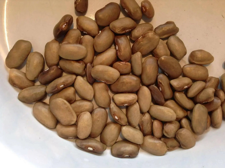 kentucky wonder Wax bean (P0LE Bean) - Caribbean garden seed