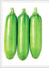 Korean Summer Squash Seeds "Meot Jaeng I Ae", Asian Vegetable - Caribbean garden seed