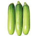 Korean Summer Squash Seeds "Meot Jaeng I Ae", Asian Vegetable - Caribbean garden seed