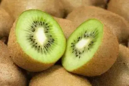 KIWI Fruit SEEDS, Tropical Fruit Bearing Vines, Chinese Gooseberry, - Caribbean garden seed