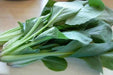 Komatsuna Seeds (Mustard Spinach) Cold hearty, heat tolerant, Asian vegetable - Caribbean garden seed