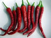 Kashmiri Chilli Pepper SEED (Capsicum annuum,) MILD HEAT, ASIAN VEGETABLE - Caribbean garden seed
