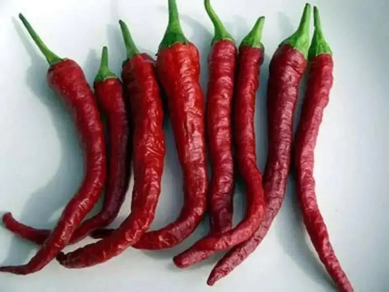 Kashmiri Chilli Pepper SEED (Capsicum annuum,) MILD HEAT, ASIAN VEGETABLE - Caribbean garden seed