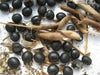Korean Black Soybean Seeds,Edible soybean,asian vegetable - Caribbean garden seed