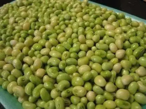 Lady Cream pea seed, Southern Peas, annual GARDEN VEGETABLE - Caribbean garden seed