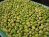 Lady Cream pea seed, Southern Peas, annual GARDEN VEGETABLE - Caribbean garden seed
