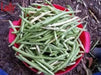 Lady Cream pea seed, Southern Peas, annual GARDEN VEGETABLE - Caribbean garden seed