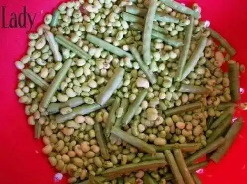 Lady Cream pea seed, Southern Peas, annual GARDEN VEGETABLE - Caribbean garden seed