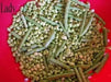 Lady Cream pea seed, Southern Peas, annual GARDEN VEGETABLE - Caribbean garden seed