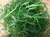 Land Seaweed SEEDS,Oka Hijiki,,Asian Vegetable/herb. - Caribbean garden seed