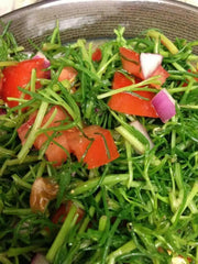 Land Seaweed SEEDS,Oka Hijiki,,Asian Vegetable/herb. - Caribbean garden seed