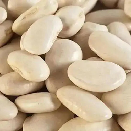 Large White Lima beans (pole)  Heirloom Vegetable seeds - Caribbean garden seed