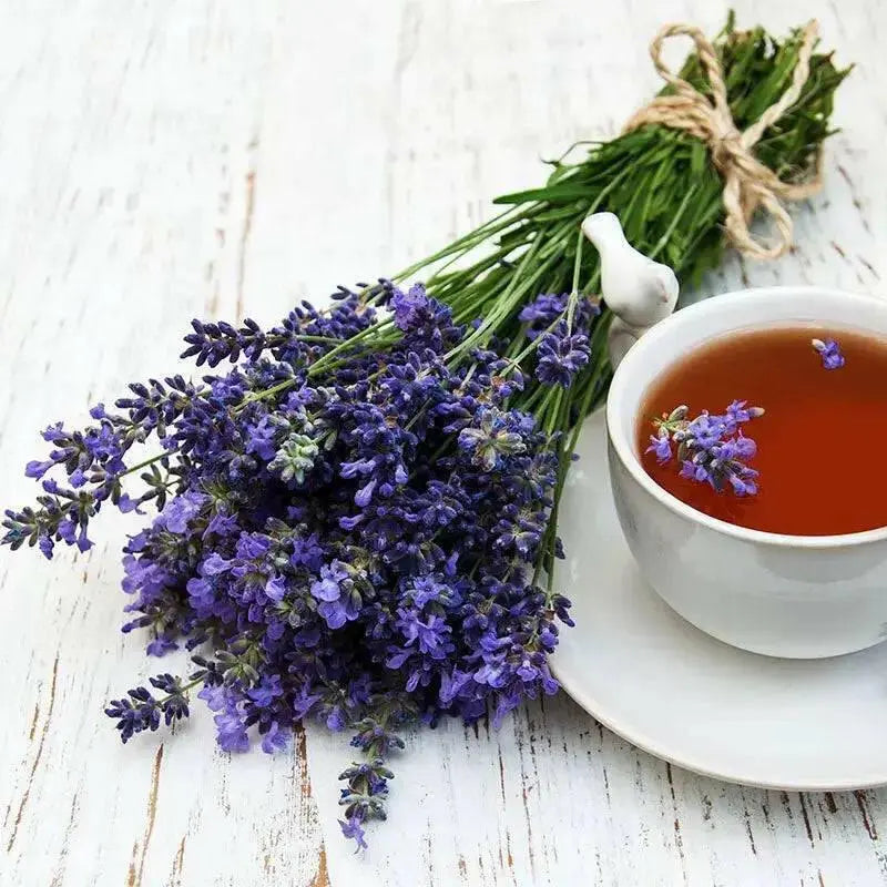 Lavender  Seeds- Ellegance PURPLE - Perennial  Herb - Caribbean garden seed