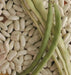 Lazy Housewife Pole Bean, ORGANIC Heirloom - Caribbean garden seed