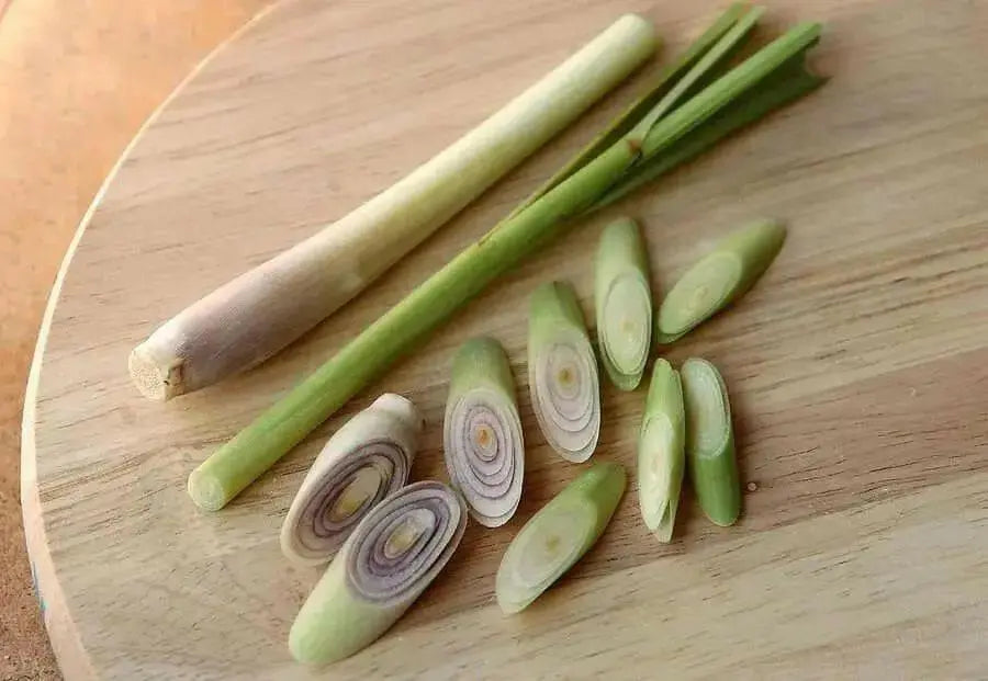 Lemon Grass Herb ( LIVE PLANT) Jamaican Fever grass, Asian Vegetable - Caribbean garden seed