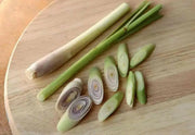 Lemon Grass Herb  - jamaican Fever grass - Caribbean garden seed