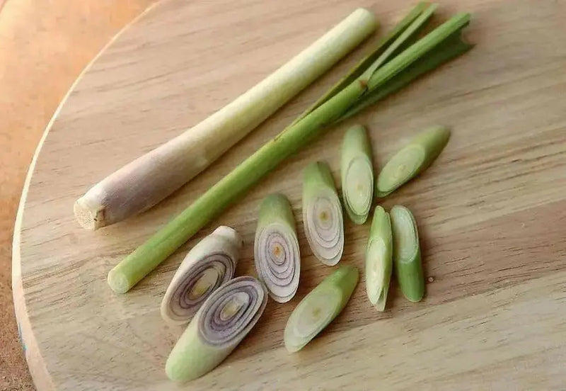 Lemon Grass Herb  - jamaican Fever grass - Caribbean garden seed