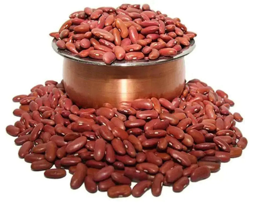 Light Red Kidney Bean Seed - Bush - Caribbean garden seed