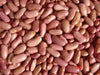 Light Red Kidney Bean Seed - Bush - Caribbean garden seed