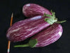 Listada di Gandia Eggplant seeds -  Italian Vegetable - Caribbean garden seed