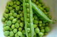 Lincoln  Garden Pea Seeds - (SHELLING Peas) will tolerate warmer climates. - Caribbean garden seed