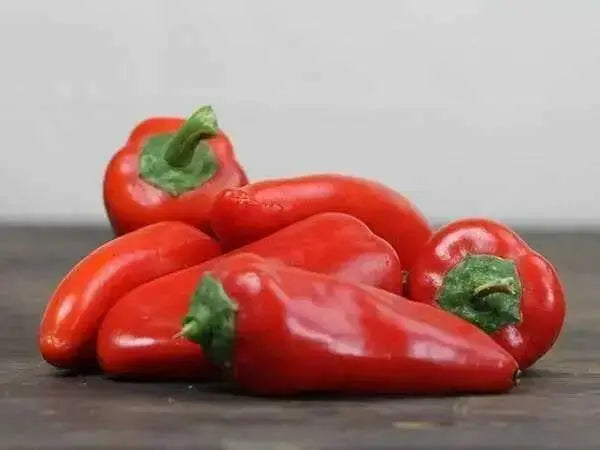 Lipstick Pepper Seeds (Capsicum Annuum) Heirloom, Sweet pepper - Caribbean garden seed