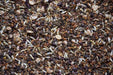 Low Growing Wildflower Seed Mixture, Annuals and Perennials - Caribbean garden seed