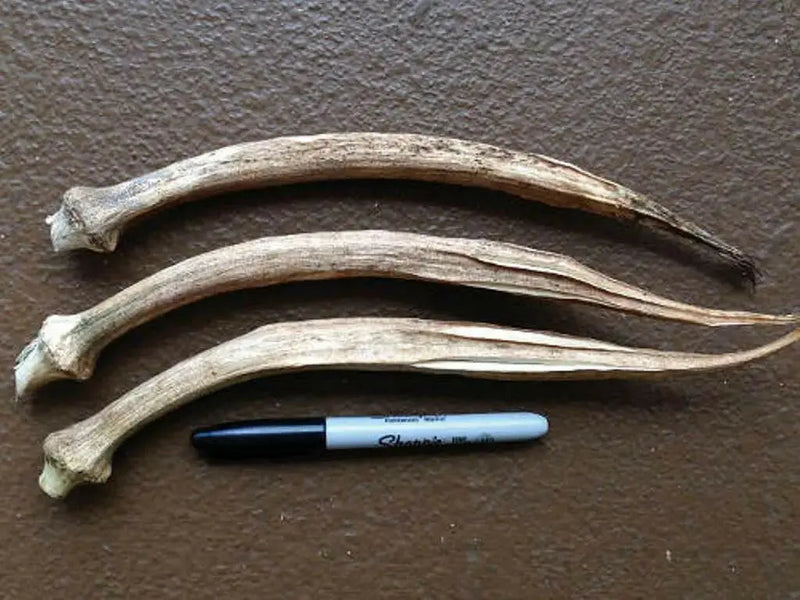 Long GREEN Pod Okra, Ladies Finger seeds, Gumbo, early maturing, - Caribbean garden seed