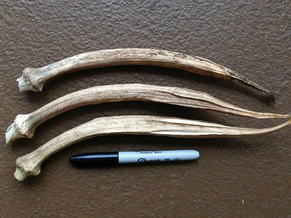 Long GREEN Pod Okra, Ladies Finger seeds, Gumbo, early maturing, - Caribbean garden seed