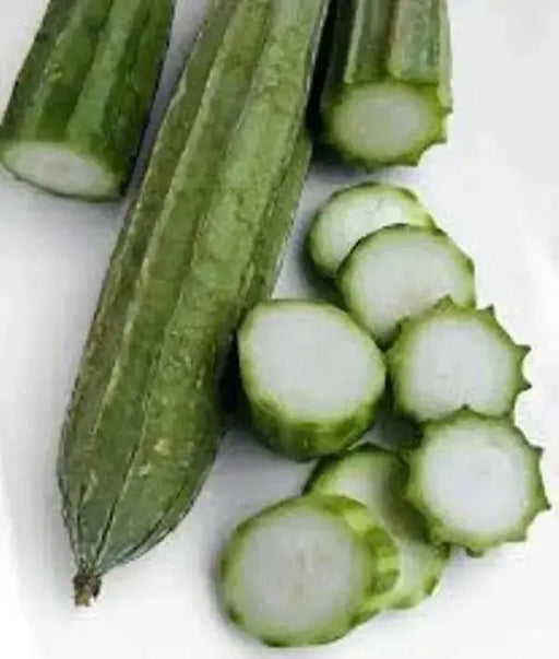 Luffa Angled Seeds "Bonanza" (Asian vegetable) Edible Luffa,Chinese okra - Caribbean garden seed