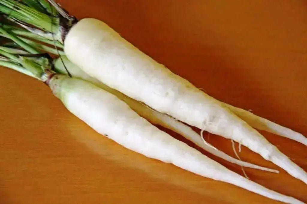 Lunar White-Carrot Seeds ,Heirloom Vegetable! - Caribbean garden seed