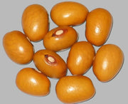 Marfax BUSH beans,Shell and Dry Beans - Caribbean garden seed