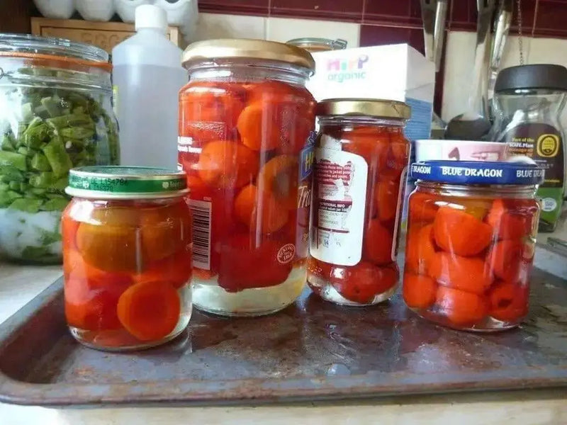 Malawi Piquante PEPPER SEED AKa . African Pickling Pepper - Caribbean garden seed