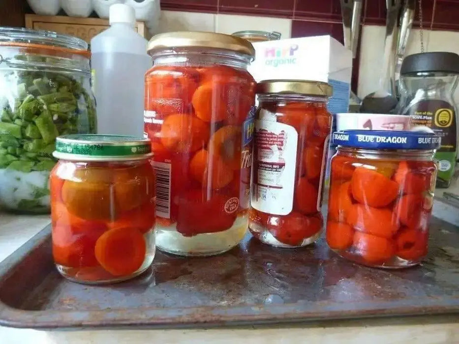 Malawi Piquante PEPPER SEED AKa . African Pickling Pepper - Caribbean garden seed