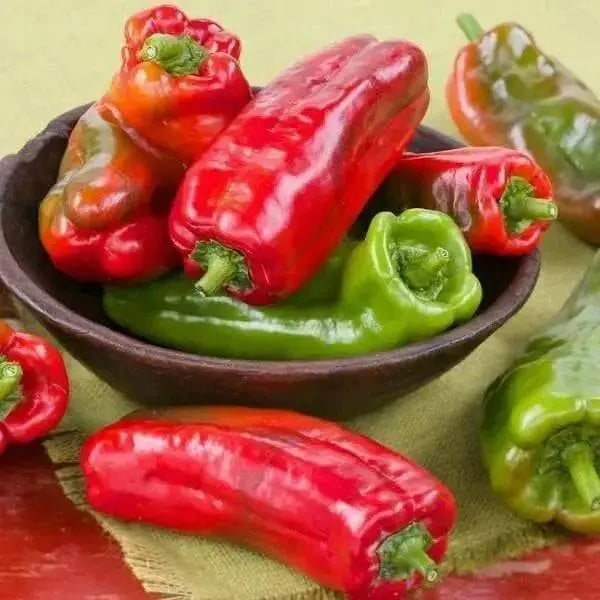 Marconi SWEET Pepper Seeds ,CAPSICUM annuum - Caribbean garden seed